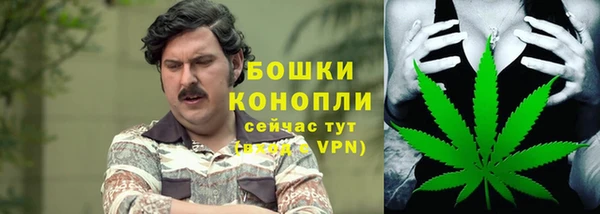 сатива Абаза